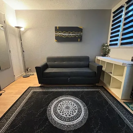 En Plein Centre Apartment Nogent-sur-Marne